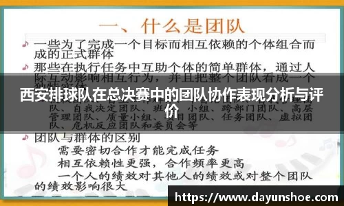 西安排球队在总决赛中的团队协作表现分析与评价